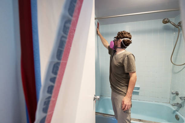Best Real Estate Mold Inspection  in Hyrum, UT