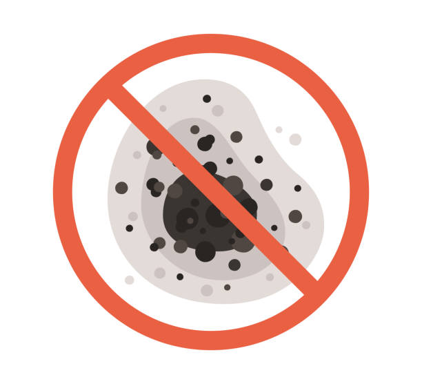 Best Mold Odor Removal Services  in Hyrum, UT
