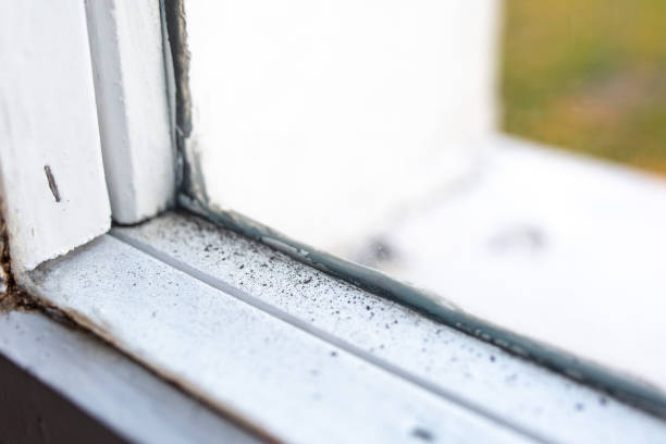 Hyrum, UT Mold Removal Company