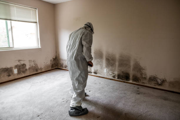 Best HVAC Mold Inspection and Cleaning  in Hyrum, UT